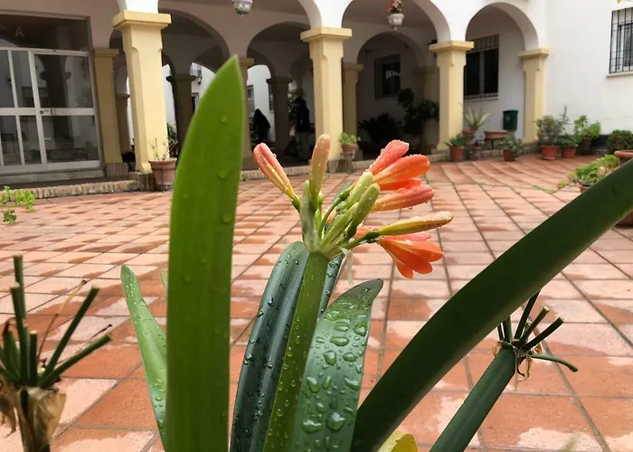 Casa De Espejos Διαμέρισμα