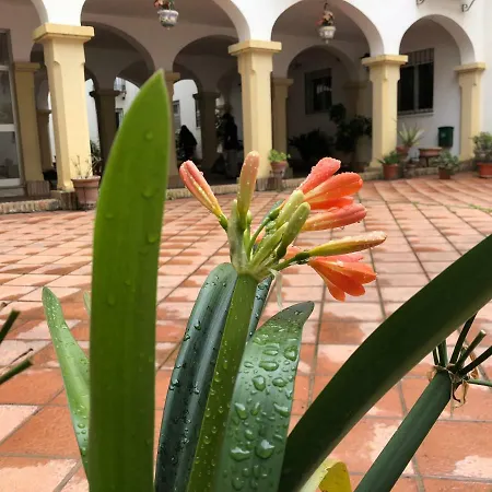 Casa De Espejos Appartement